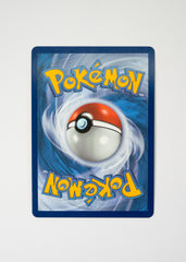 Charizard V (Secret) - 79/73