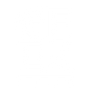GeekPins