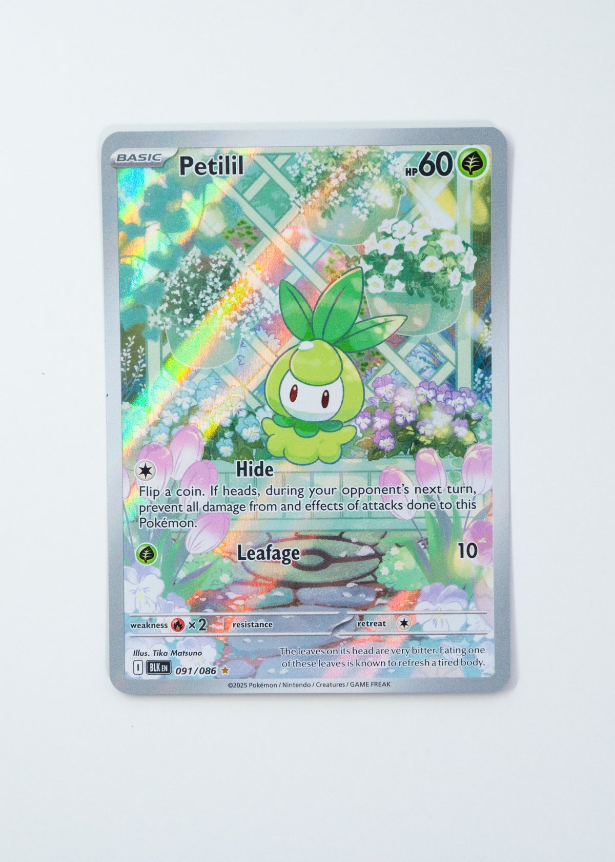 Petilil - 091/086 - SV: Black Bolt (BLK)